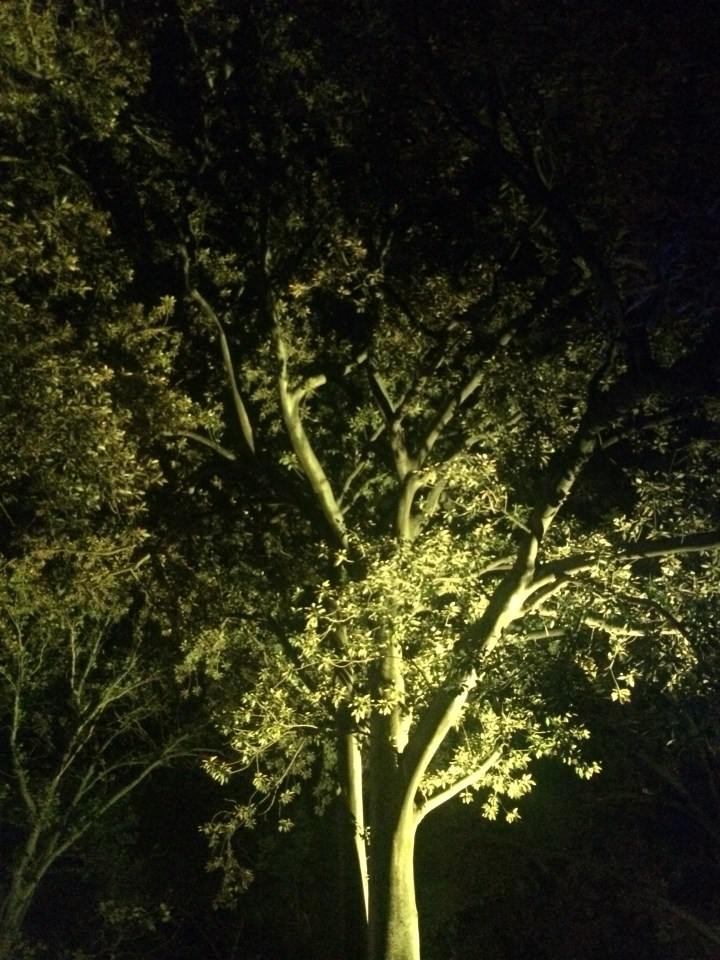 Continental drifting…