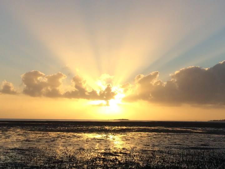 On the path of the yogini… (Pt&nbsp;1)